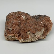 2428g (5.35 lbs), 7&quot;x5x3&quot;, Large Golden Barite Mineral Specimen @Morocco, B10979 - £79.83 GBP