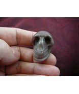 HH140-A) HUMAN SKULL PURPLE WHITE fancy JASPER GEM skulls gemstone carve... - $31.37 CAD