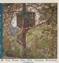 Vtg Stereoview Pine Hills Cuamaka Mountains California Tree House - £11.11 GBP