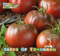 45 seeds Black From Tula Tomato Heirloom Seeds Ensure Rapid Gorgeous Gardens - $12.00