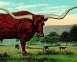 Vtg Postcard Texas Long Horn Steer Width of Horns 9 Ft. 6 In UNP Seawall - £6.37 GBP