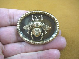 (B-bee-119) Bumble bee honey bees oval rope textured trim pin pendant Brooch - £14.41 GBP