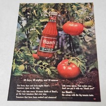 Hunt&#39;s Tomato Ketchup bottle with tomatoes and plants 40 days 1963 Print Ad - $8.98
