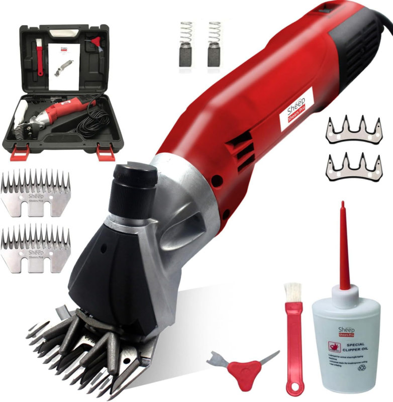 Full-size item image