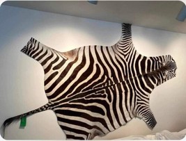 8 Ft Burchells Zebra Rug Mount African Safari Taxidermy - £783.36 GBP