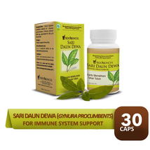 SIDOMUNCUL Daun Dewa  Gynura Procumbens Extract For Immune System Support - £18.68 GBP