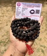 2 Pc LAB CERTIFIED 5 Mukhi RUDRAKSHA Black Rudraksh Mala ROSARY 108+1 Beads - $39.39