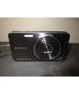 Sony Cyber-shot DSC-W570 16.1MP 5x Optical Digital Camera SILVER - $100.00