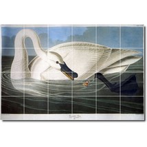 John Audubon Birds Painting Ceramic Tile Mural BTZ00304 - £191.84 GBP+