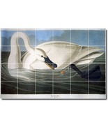 John Audubon Birds Painting Ceramic Tile Mural BTZ00304 - $240.00+