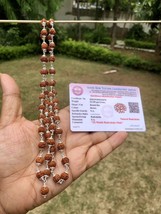 925 Silver + LAB CERTIFIED Natural 5 Mukhi RUDRAKSHA Mala ROSARY 54+1 Beads - £44.62 GBP