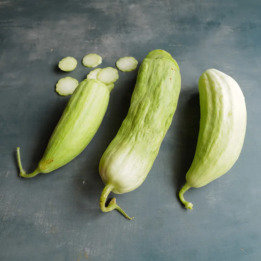 Cucumber Xylangouro Melon, 10 Seeds R - $14.35