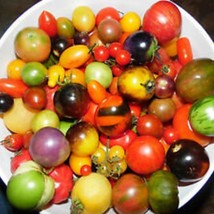 Pack Of 100 Seeds From A Mix Of 50 Different Kind Of Cherry Tomato See L... - $89.98 MXN