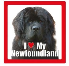 I Love My Dog Ceramic Photographic Square Coaster with Breed Name (Newfo... - £2.50 GBP