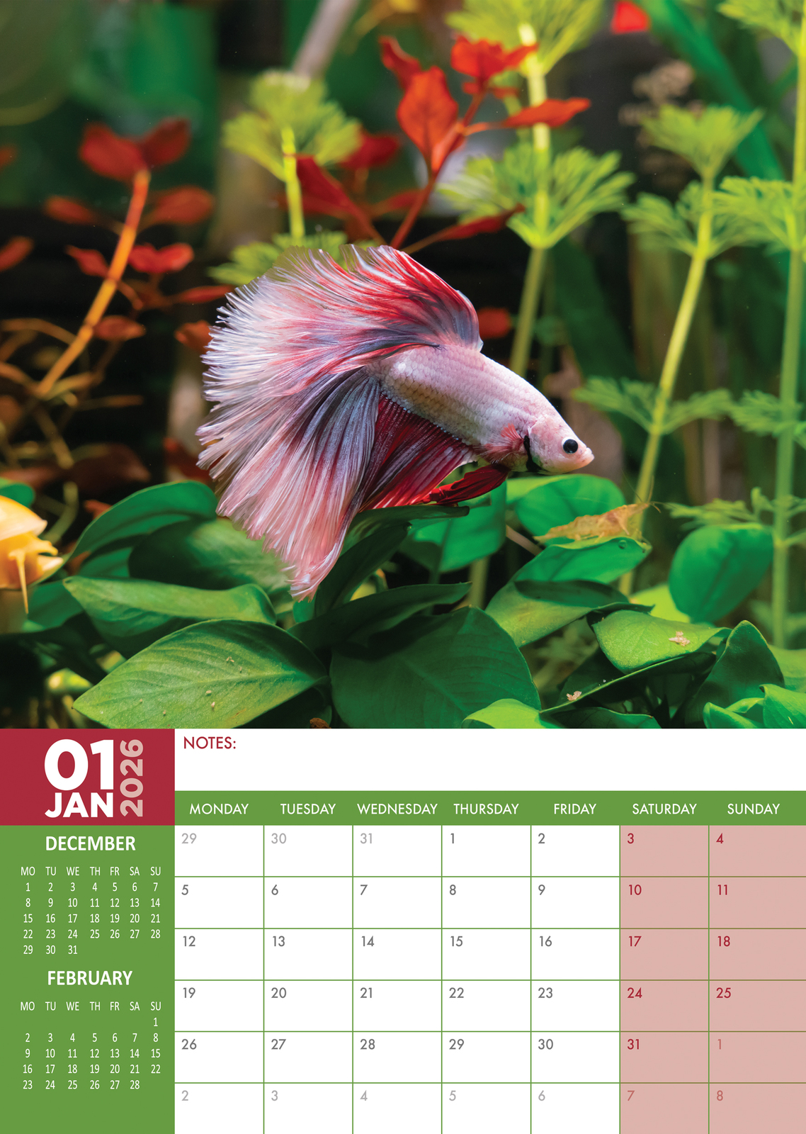 Tropical Fish Calendar 2026 Current Year, Next Year Tropical Fish Calendar 2026 Current Year, Next Year