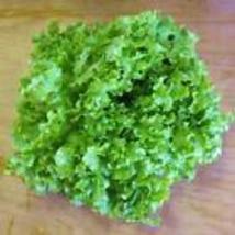 1000 SALAD BOWL LETTUCE SEEDS ~ 2024  USA - £7.95 GBP