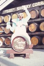 35 mm color slide * September 1966 SAN MARTIN WINERY face in hole photo ... - $5.50