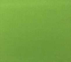 Sunbrella 54011 Canvas Ginkgo Green Outdoor Indoor Multiuse Fabric By Yard 54&quot;W - £15.65 GBP