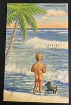 Vtg 1940&#39;s Southern Exposure, Naked Boy on Beach with Dog in Florida Postcard - £5.42 GBP