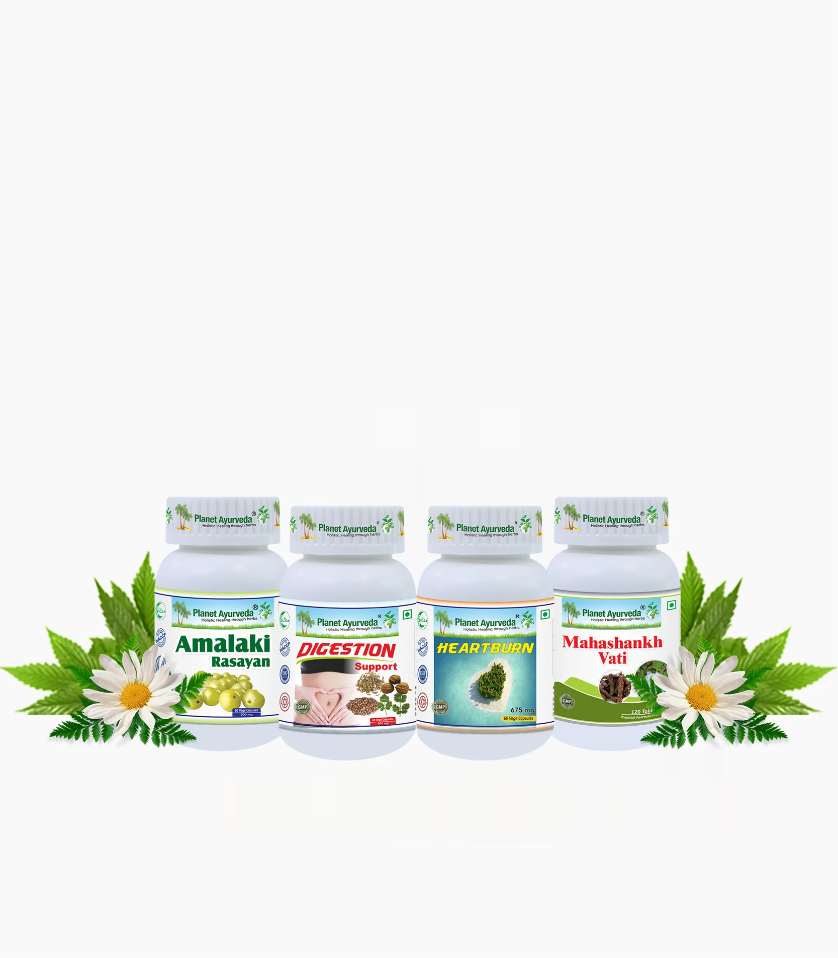 Planet Ayurveda Acidity Care Pack with Free Shipping - $296.00