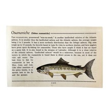 Ouananiche 1939 Fresh Water Fish Art Gordon Ertz Color Plate Print PCBG20 - £23.97 GBP
