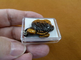 ann-tur-sea-7 brown Tiger&#39;s eye Sea TURTLE carved Pendant NECKLACE love turtles - £9.74 GBP