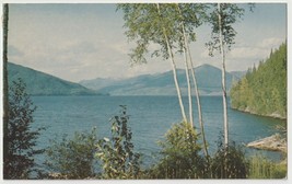 British Columbia Canada Vintage Postcard Unposted - £3.85 GBP