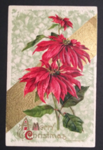 A Merry Christmas Poinsettias John Winsch Gold Embossed Postcard 1910 Germany - $7.99