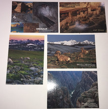 lot of 5 Colorado postcards( Black Canyon Of The Gunnison, Rocky Mountain) - £4.75 GBP