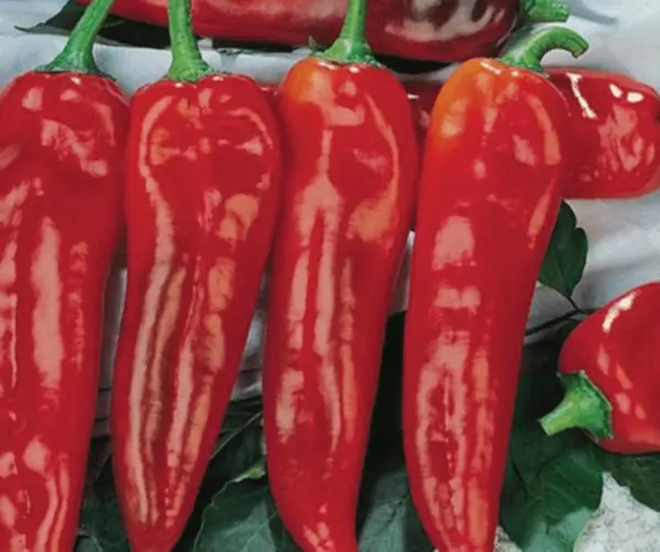 20 Corno Di Toro Rosso Pepper Seed Italian Pepper Tasty Sweet Fresh - £8.23 GBP