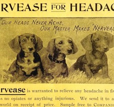 Nervease Headache Medicine 1894 Advertisement Victorian Medical ADBN1L - £15.46 GBP