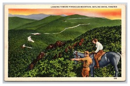 Pinnacles Mountain Skyline Drive Virginia VA UNP Linen Postcard N25 - £2.18 GBP