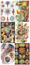 1 Sheets Victorian Sea life Stickers Planner Stickers for DIY Crafts Scr... - £4.68 GBP