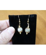 DP1-16m REAL DINOSAUR POOP 10mm bead dangle EARRINGS Utah ancient Dino C... - $16.99