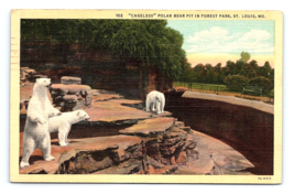 Postcard St. Louis Missouri Cageless Polar Bear Pit In Forest Park Zoo 1937 - £5.14 GBP