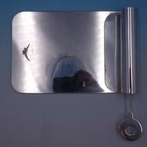 Sterling Silver Serving Tray for Sardines 7&quot; x 7&quot; 10.15 ozt. (#4872) - €674,65 EUR