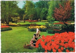 Netherlands Holland Postcard Tulip Gardens Dutch Costume - $2.96