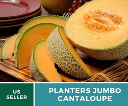50 Pcs Planter&#39;s Jumbo Cantaloupe Melon Heirloom Seeds Non GMO Cucumis melo - £15.31 GBP