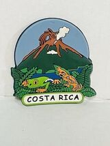 Vtg Costa Rica Volcano Tree Frogs Gecko Rubber Fridge Magnet Souvenir Arte - $9.87