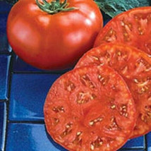 50 Seeds Beefmaster Tomato Juicy Tomatoe Vegetable Edible Food - £4.50 GBP