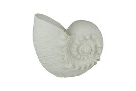 White Sandstone Finish Frilled Nautilus Shell Accent Lamp 10 Inches High - £78.28 GBP