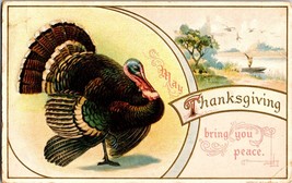 Wessler 1910 Postcard Antique May Thanksgiving Bring You Peace Turkey Du... - £3.90 GBP