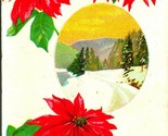 Merry Christmas Pointsettias Country Road Embossed 1915 Postcard  - $3.91