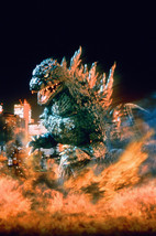 Godzilla with flames 18x24 Poster - $23.99