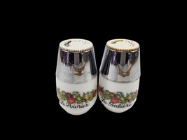 Vintage Gemco Spice of Life Salt &amp; Pepper Shakers La Saliere and La Poiv... - $203.50 MXN