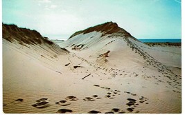 Vintage Sand Dunes outer Cape Cod Massachusetts Postcard landscapes 70202 - £2.36 GBP