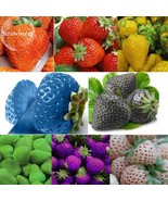 Mixed 9 Types Of Strawberry Fruit 100 Seeds Red Yellow Light Blue Black ... - £5.49 GBP