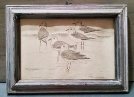 Margo Hammond 1981 Art Print Pencil Drawing Seagulls 4x6 Beach Birds Ocean - £33.46 GBP
