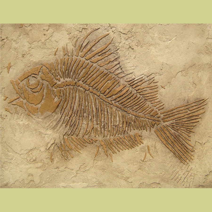 Prehistoric Large Fish Fossil Stencil, DIY Raised plaster stencil - $29.95