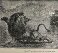 Gerard Male Lion Hunt Wood Engraving 1887 Victorian Hunting Art DWEE21 - £37.36 GBP